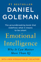 Emotional Intelligence: Why It Can Matter More Than IQ