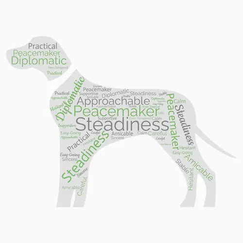 A gray silhouette of a dog shaped like a word cloud, filled with words such as ’peacemaker,’ ’steadiness,’ and ’diplomatic’ in varying shades of green.