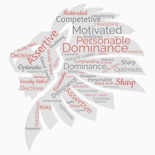 A white and red word cloud shaped like a human silhouette, featuring words such as ’dominance,’ ’assertive,’ and ’motivated’ in varying sizes.